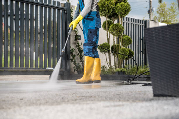 Best Concrete Pressure Washing  in Hargill, TX