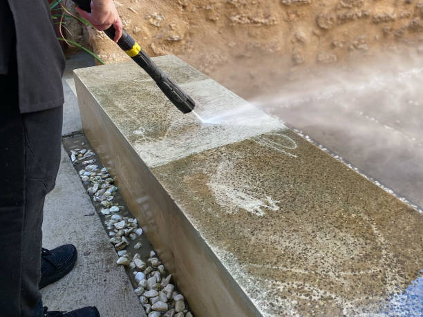 Best Affordable Pressure Washing  in Hargill, TX